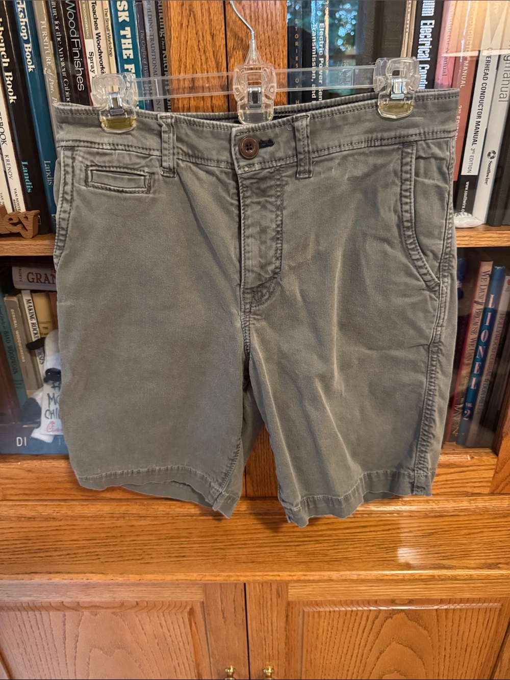 American Eagle Outfitters Men's Olive Flat-Front Cotton Shorts